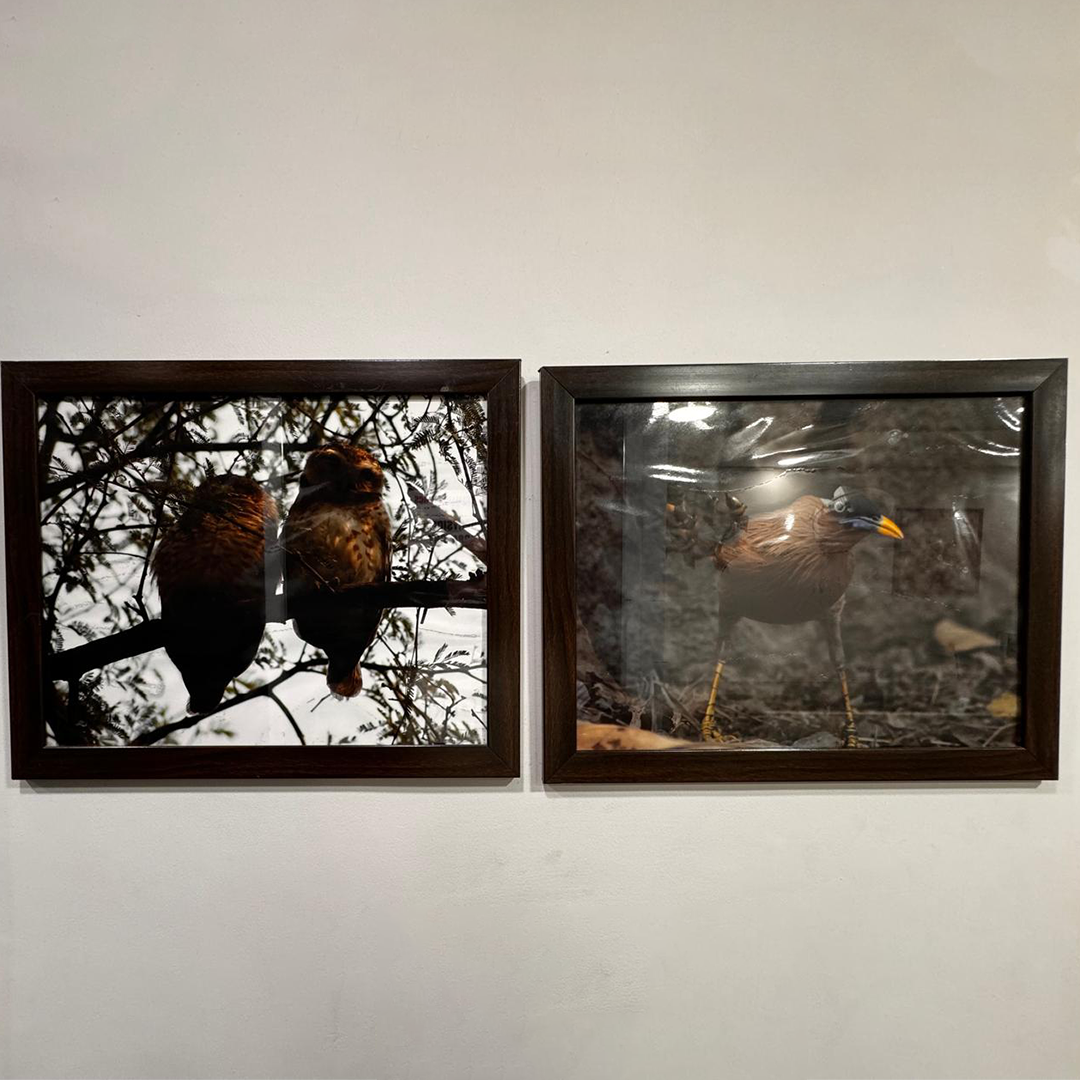 gallery grid image